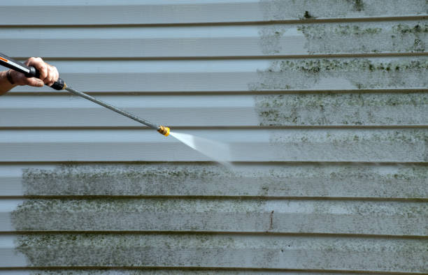 Best Local Pressure Washing Services  in Davie, FL