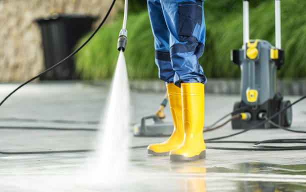 Best Roof Pressure Washing  in Davie, FL